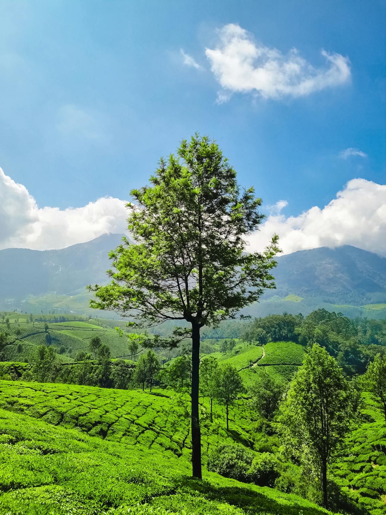 7 Hidden Gems to Explore in Kerala