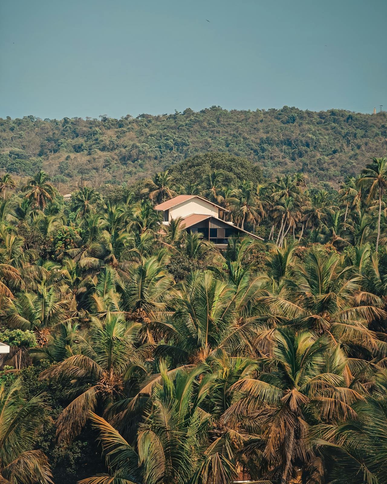 7 Romantic Spots in Goa for Couples